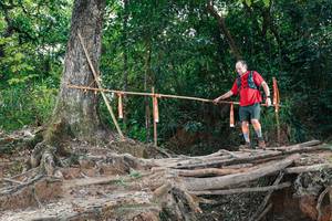 BIB: 
                            <button type="button" onclick="openModal(27801624)" class="btn btn-primary btn-sm float-right btn-popup" data-toggle="modal" data-target=".modal-high-quality">
                        <i class="fas fa-shopping-cart"></i> Add to Cart
                    </button>
                                            <button type="button" onclick="isThisMe(27801624, true)" class="btn btn-success btn-sm float-right btn-popup btn-isme hidden" data-toggle="tooltip" data-placement="bottom" title="นี่คือรูปของคุณใช่ไหม คลิกที่นี่เพื่อเอาเข้าอัลบั้ม">
                        <i class="fas fa-plus"></i> Add to album
                    </button>
                    <button type="button" onclick="isThisMe(27801624, false)" class="btn btn-warning btn-sm float-right btn-popup btn-isnotme hidden">
                        <i class="fas fa-ban"></i> Remove from album
                    </button>